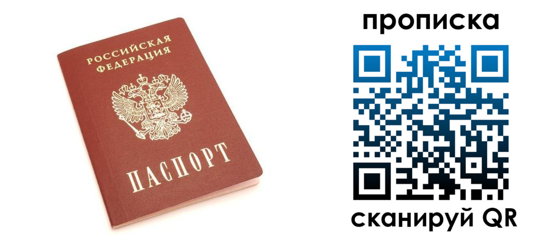 прописка 2025 в Лыткарино